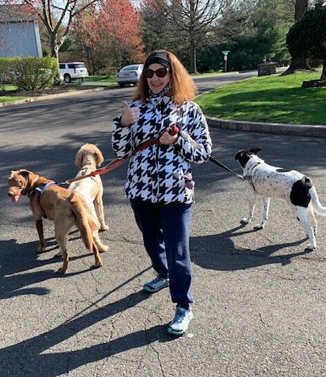 Dog Walking & Exercise Visits