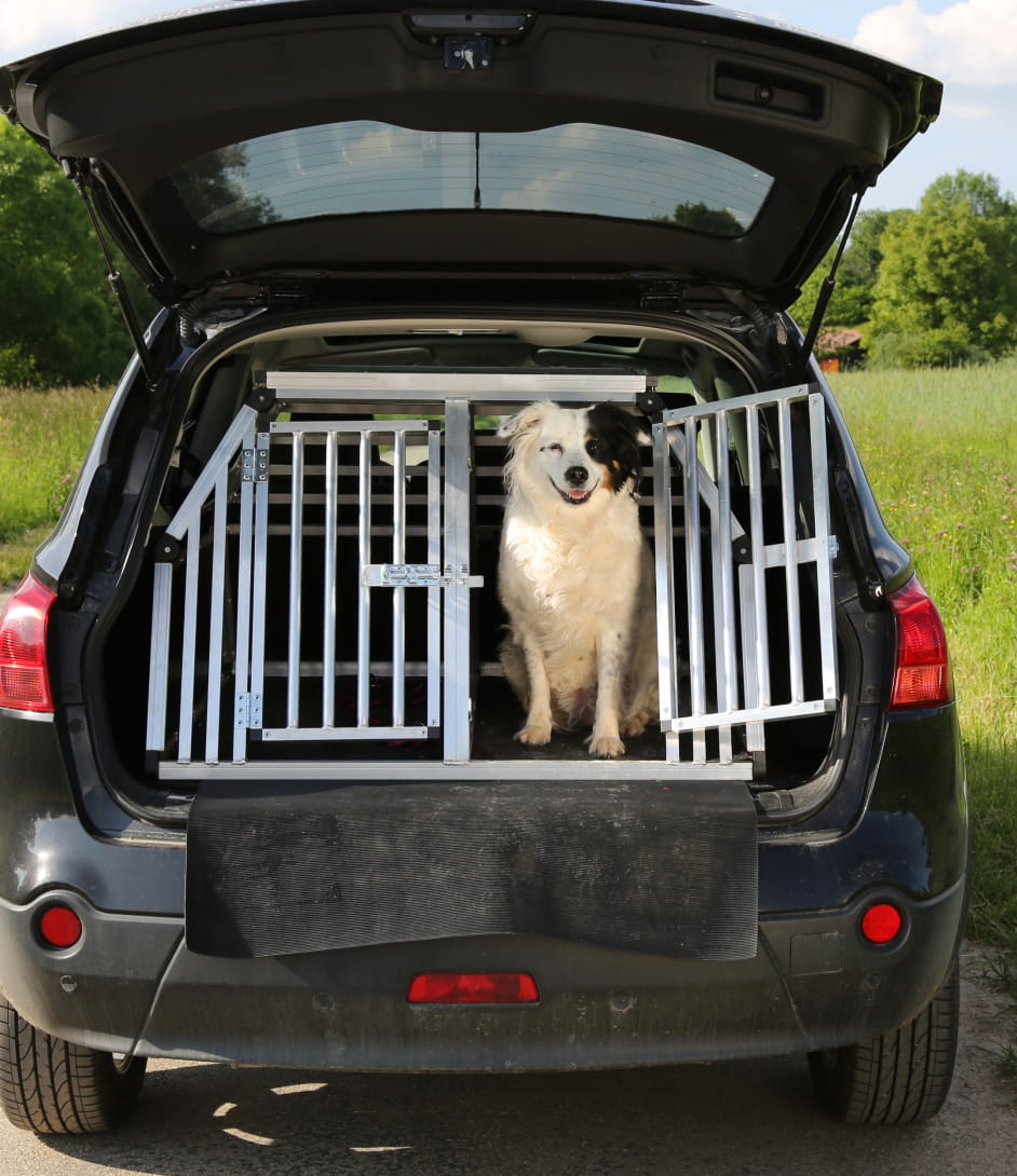 Safe Pet Transportation